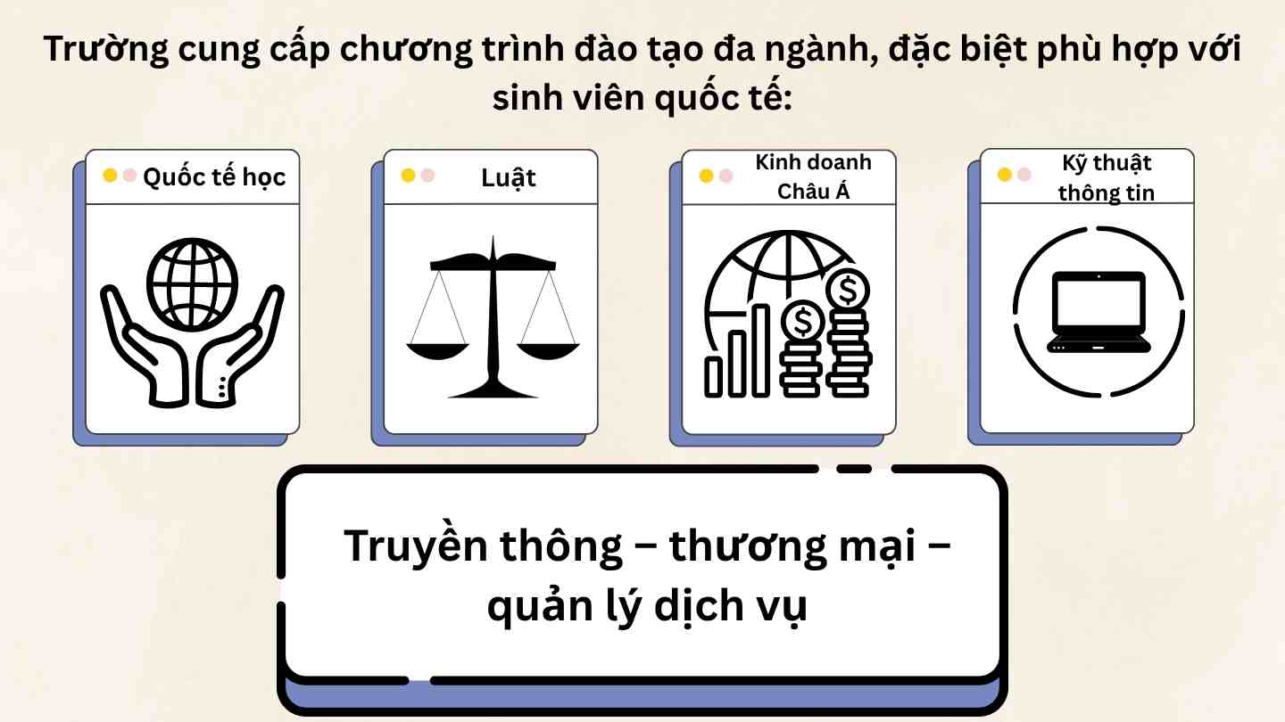 Hệ đại học